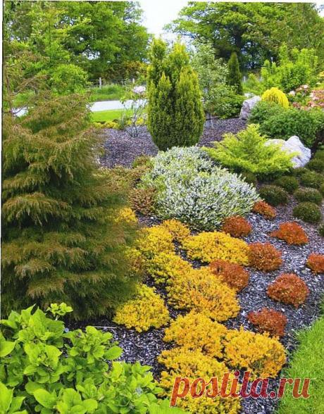 | Вересковые сады. Фото. | Фотогалерея | Ландшафтный дизайн и декоративное садоводство.Декоративные растения и кустарники.Энциклопедия ландшафтного дизайна.Готовые проекты дизайна сада.