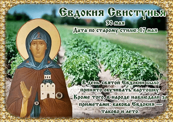 Пусть святая Евдокия оберегает тебя от всех невзгод, а весна принесет новые яркие краски и успех во всех делах! Открытки на Евдокия Свистунья!
