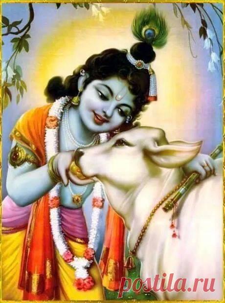 ГОВИНДА 

"Что переводится как "тот, кто доставляет радость коровам, земле и чувствам". Божество Говинды - это Божество нашего преданного служения. Это имя означает "Господь пяти чувств", что означает, что наши чувства могут найти полное удовлетворение, только очистившись в соприкосновении со своим Божеством - Говиндой.
Показать полностью…