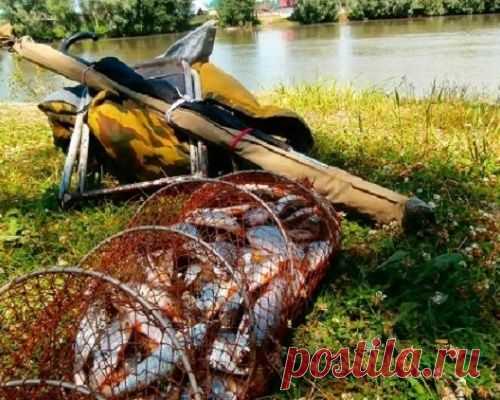 Советы бывалых рыболовов. К прочтению обязательно