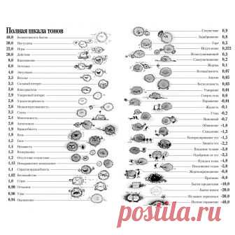 Шкала эмоций (тонов) Саентологи, безусловно, сектанты, но есть у них и рациональные зерна (в «Дианетике»). Одн