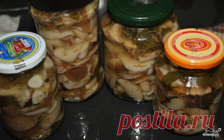 Маринованные маслята в масле - пошаговый кулинарный рецепт с фото на Повар.ру
