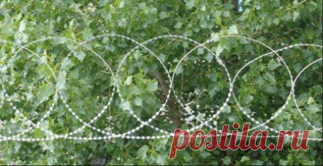 Как обезопасить себя и родных на даче?