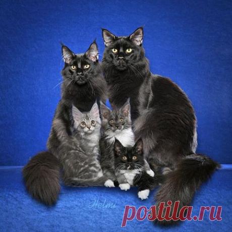 Вам сообщение!