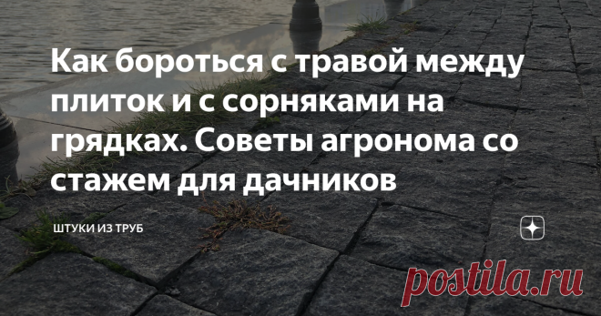 Как бороться с травой между плиток и с сорняками на грядках. Советы агронома со стажем для дачников Взял интервью у известного агронома Андрея Лозового. Сейчас как раз наступает дачный сезон, поэтому, уверен, эти советы будут очень кстати. Гербициды (препараты против сорняков) у нас не особо популярны. Дело в том, что мы очень стараемся, чтобы фрукты и овощи были экологически чистыми, приносили только пользу… А зачем еще нужна дача? Но есть случаи, когда без помощи гербици...
