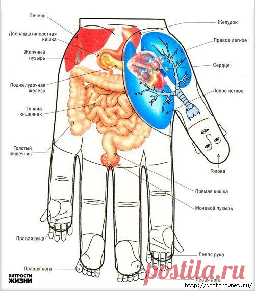 Простые приемы самопомощи