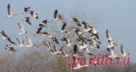 Czech Republic/ St. Hubertus Hunting Tours - TO YOUR HUNTING PARADISE CZECH REPUBLIC - SLOVAKIA - SOUTH AFRICA AND AUSTRIA