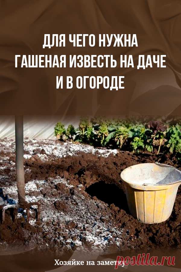 Для чего нужна гашеная известь на даче и в огороде