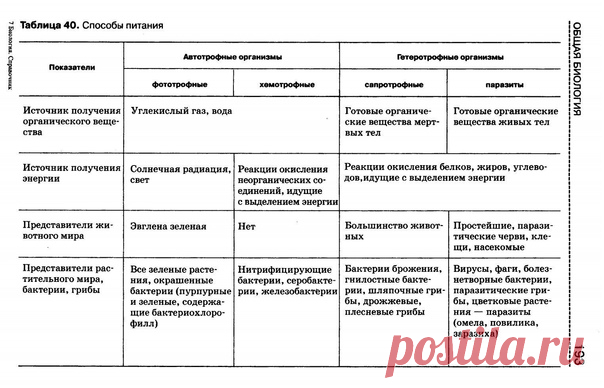 АВТОТРОФЫ И ГЕТЕРОТРОФЫ