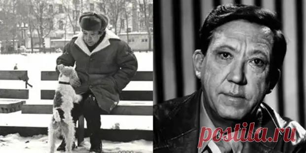 (2) История дружбы великого клоуна и пса – посланца иных миров - ДОСТОЙНАЯ ЖИЗНЬ НА ПЕНСИИ - 11 октября - 43506888498 - Медиаплатформа МирТесен