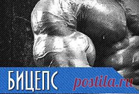 Упражнения