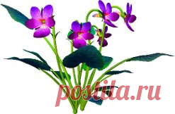 яндекс фотки анимация Лето - 5 098 картинок. Поиск Mail.Ru