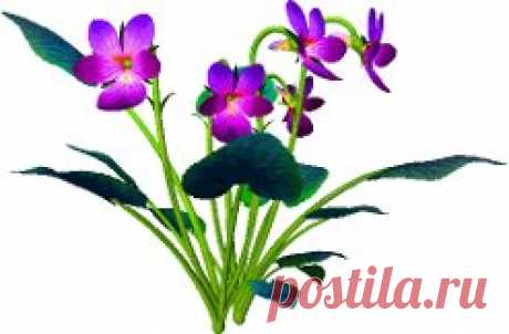 яндекс фотки анимация Лето - 5 098 картинок. Поиск Mail.Ru