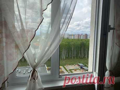 Что делают хозяйки для того, чтобы насекомые не залетали в окно, если нет москитной сетки | Реалии нашей жизни | Яндекс Дзен