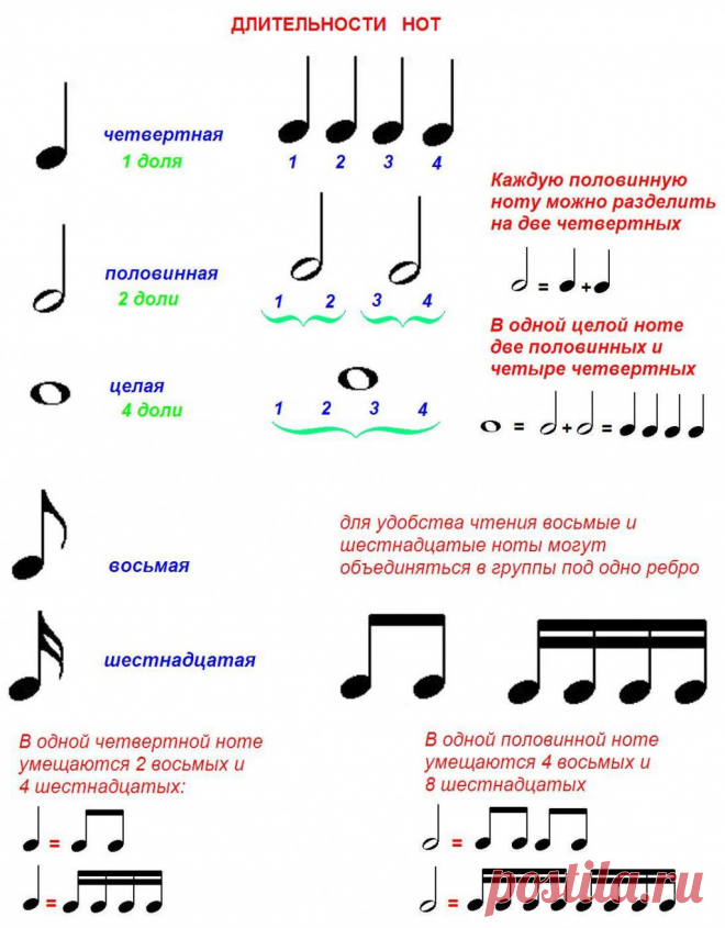 Нотная грамота для начинающих музыкантов | Музыкальный класс