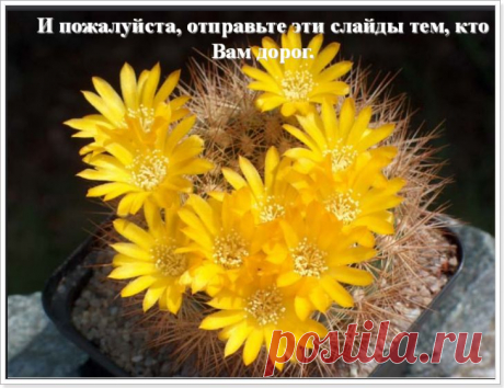 КАК УЛУЧШИТЬ СВОЮ ЖИЗНЬ... | Мир женщины