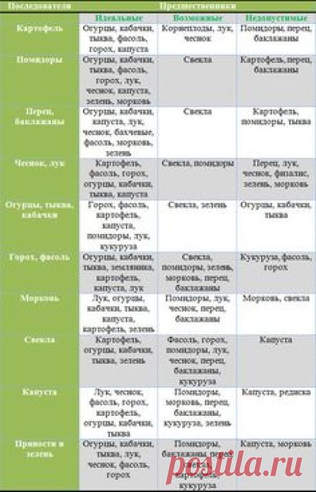 севооборот на огороде