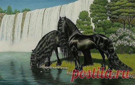 лошади