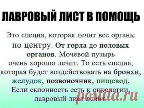 ЛАВРОВЫЙ ЛИСТ В ПОМОЩЬ 
Именно остеохондроз является причиной боли в спине в 80% случаев
Для тех, у кого застарелый остеохондроз, лучше любых мазей из аптеки помогают средства на основе лаврового листа.
Вот отличные рецепты:
1) Лавровое масло. Залить стаканом оливкового масла 1 ст. ложку мелко нарезанных лавровых листьев и настаивать 15 дней в теплом месте. Лучше всего втирать масло в больные места на ночь, а потом тепло укутываться.
2) Настой. Взять 1 ч. ложку измельченных листьев и залить 1,5