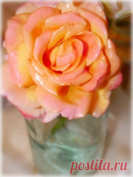Prácticas Ideas para el Hogar...: Cómo secar flores: las mejores formas de conservar un ramo