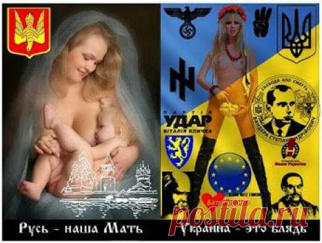 Политкарикатура – Сообщество – Google+