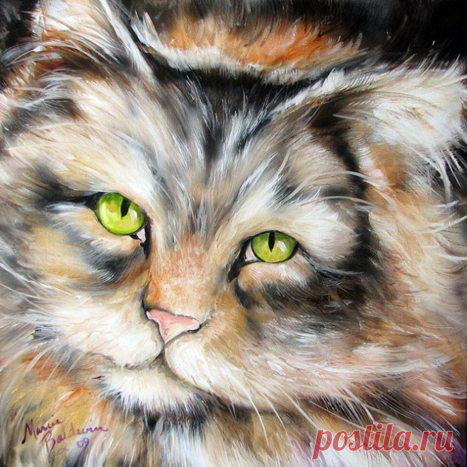 Милые животные художницы Marcia Baldwin