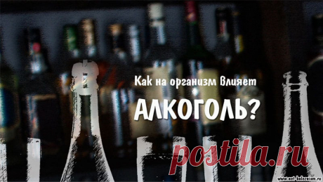Что такое алкоголь и в каких ситуациях его нельзя пить? 

Этиловый спирт влияет на активность различных ферментов, а его калории считаются пустыми, которые не могут использоваться организмом для своих нужд.

Также в организме алкоголь вызывает истощение запасов некоторых витаминов и минералов, отрицательное влияние, наблюдаясь на уровне головного мозга и печени.