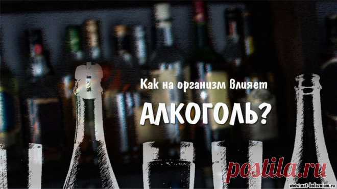 Что такое алкоголь и в каких ситуациях его нельзя пить? 

Этиловый спирт влияет на активность различных ферментов, а его калории считаются пустыми, которые не могут использоваться организмом для своих нужд.

Также в организме алкоголь вызывает истощение запасов некоторых витаминов и минералов, отрицательное влияние, наблюдаясь на уровне головного мозга и печени.