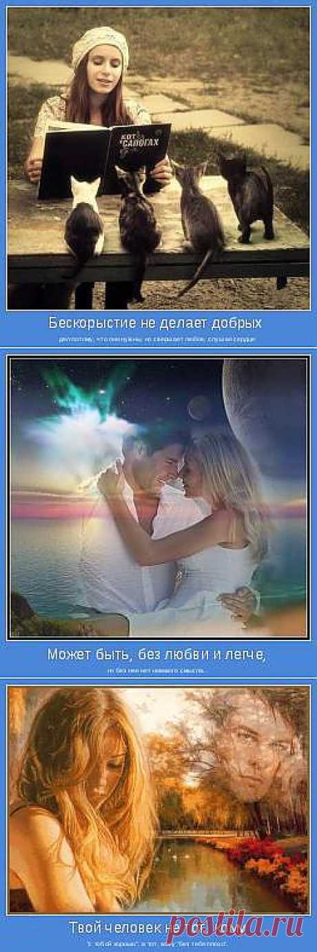 Позитивные мотиваторы | мотиваторы со смыслом, мы дарим позитив