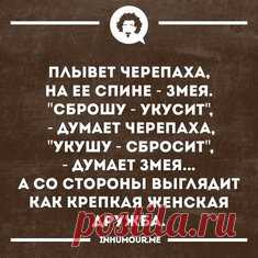 10 совершенно крутых раскрасок для взрослых / Surfingbird - проводи время с пользой для себя!