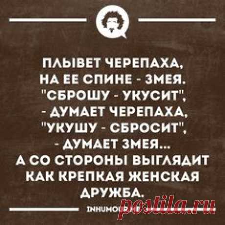 10 совершенно крутых раскрасок для взрослых / Surfingbird - проводи время с пользой для себя!