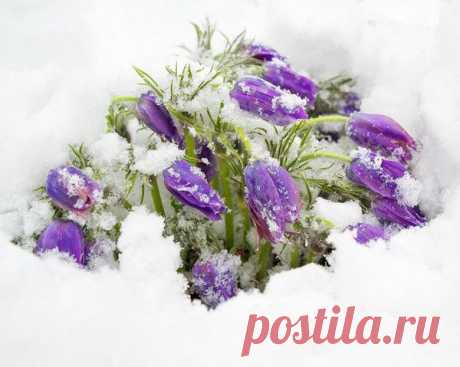 Мой Мир@Mail.Ru