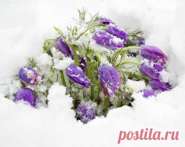 Мой Мир@Mail.Ru