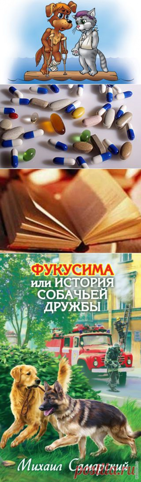 Ветеринария -