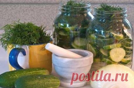 Рецепты огурцов на зиму