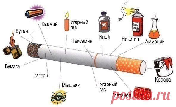 Хитрости жизни