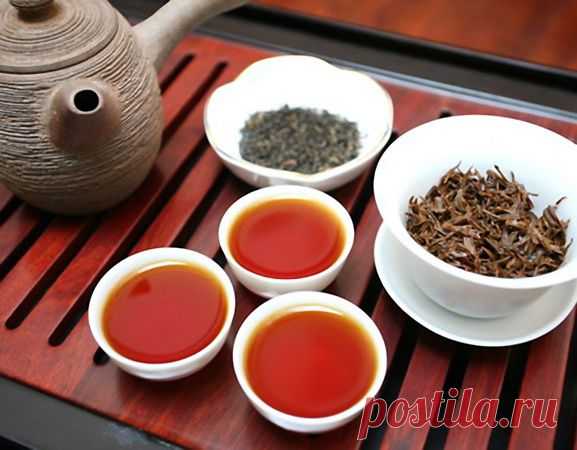 Как выбрать самый полезный чай 

 
В этот день в 1839 году в Англию впервые прибыл чай из Индии. Выбор у тогдашних любителей чая был невелик, не то, что у нас сегодня. Как из множества сортов выбрать самый полезный чай?