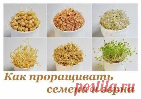 Интересные новости