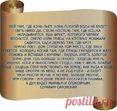 (13) Одноклассники