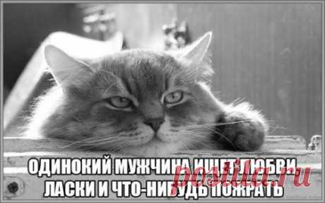 Лучшие