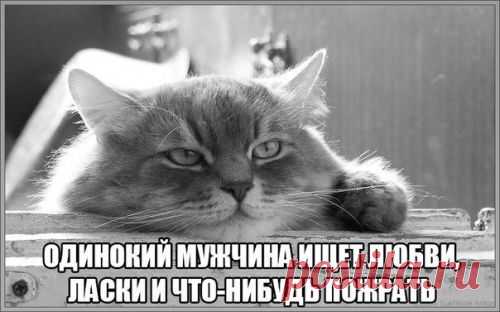Лучшие