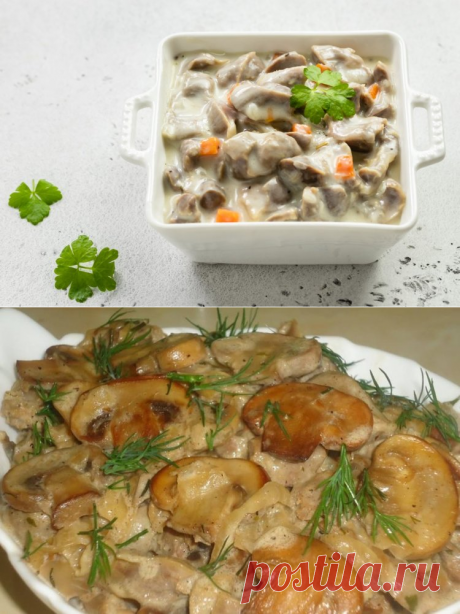 10 вкуснейших рецептов куриных желудков в сметане