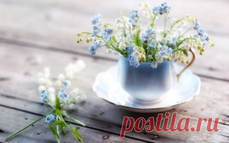 :                              ПРИРОДА не признаёт шуток; 
она всегда правдива, всегда серьезна, всегда строга; она всегда права; 
                   ошибки же и заблуждения исходят от людей.
                                ::::   Гёте Иоганн Вольфганг   ::::
