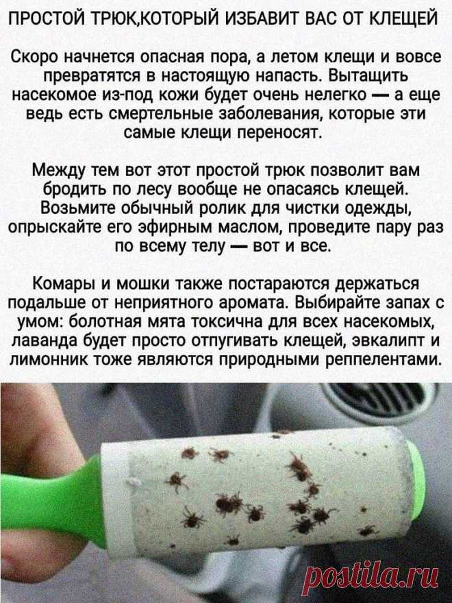 Девочки, берем это на заметку! Полезно знать!