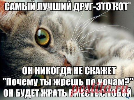 Самый лучший друг