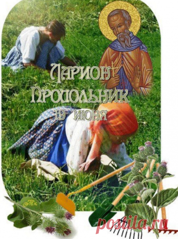 В День Лариона Пропольника
На земле желаю рая.
Пусть поможет вам Святой
В этой жизни непростой.