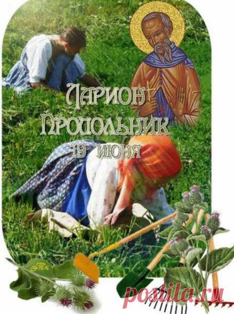 В День Лариона Пропольника
На земле желаю рая.
Пусть поможет вам Святой
В этой жизни непростой.