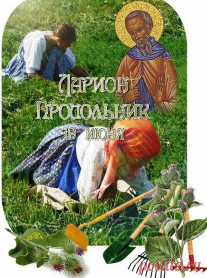 В День Лариона Пропольника
На земле желаю рая.
Пусть поможет вам Святой
В этой жизни непростой.