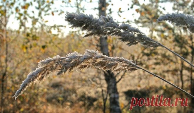 Тверская обл., октябрь 2010 г.