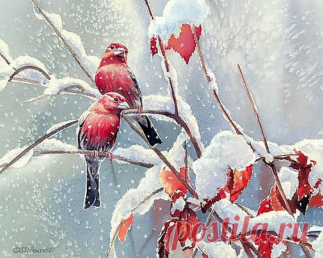 Художница Сьюзан Бордет.